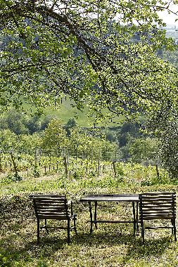 Casa de vacaciones en San Pancrazio (Firenze)Casa de vacaciones