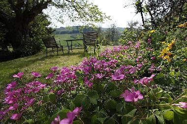 Casa de vacaciones en San Pancrazio (Firenze)Casa de vacaciones