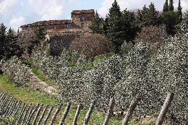 Casa de vacaciones en San Pancrazio (Firenze)Casa de vacaciones