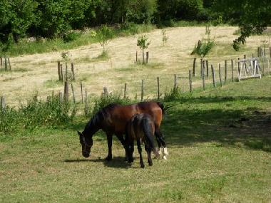 Apartamento de vacaciones en Saint Ythaire (Sa�ne-et-Loire)Casa de vacaciones