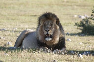 Casa de vacaciones en mossel bay (Western Cape)Casa de vacaciones