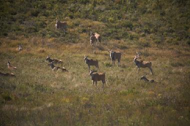 Casa de vacaciones en mossel bay (Western Cape)Casa de vacaciones