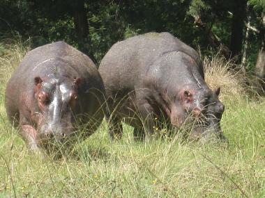 Casa de vacaciones en mossel bay (Western Cape)Casa de vacaciones