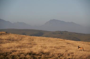 Casa de vacaciones en mossel bay (Western Cape)Casa de vacaciones