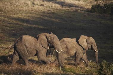Casa de vacaciones en mossel bay (Western Cape)Casa de vacaciones