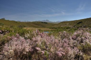 Casa de vacaciones en mossel bay (Western Cape)Casa de vacaciones