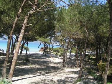 Cama y desayuno en Alghero (Sassari)Casa de vacaciones