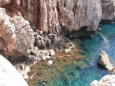 Cama y desayuno en Alghero (Sassari)Casa de vacaciones