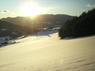 Apartamento de vacaciones en 8820 (stliche Obersteiermark)Casa de vacaciones