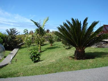 Casa de vacaciones en Prazeres (Madeira)Casa de vacaciones