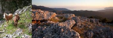 Casa de vacaciones en Tortorella (Salerno)Casa de vacaciones