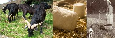 Apartamento de vacaciones en Tortorella (Salerno)Casa de vacaciones