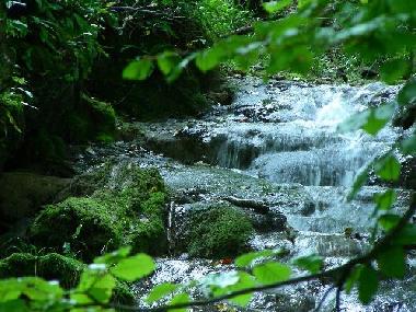 Apartamento de vacaciones en Bad Urach (Schw�bische Alb)Casa de vacaciones