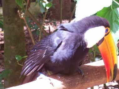 Cama y desayuno en Mariano Roque Alonso (Central)Casa de vacaciones