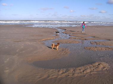 Chalet en Bredene (Flandes)Casa de vacaciones