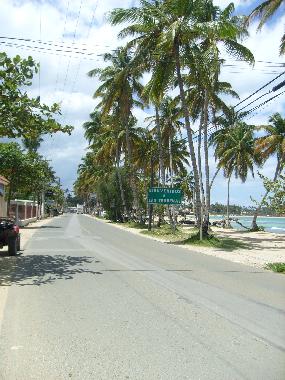 Apartamento de vacaciones en Las Terrenas (Samana)Casa de vacaciones