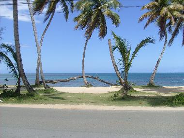 Apartamento de vacaciones en Las Terrenas (Samana)Casa de vacaciones