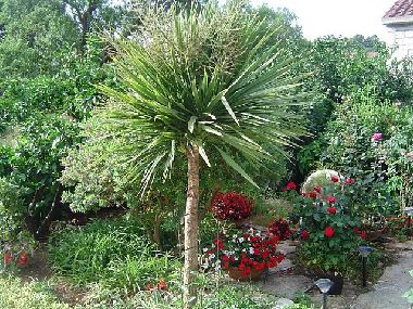 Villa en Lumbarda (Dubrovacko-Neretvanska)Casa de vacaciones