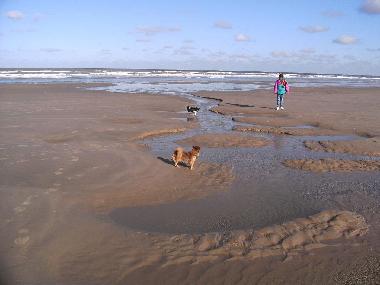 Casa de vacaciones en Bredene (Flandes)Casa de vacaciones