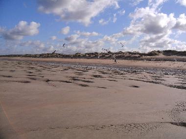 Casa de vacaciones en Bredene (Flandes)Casa de vacaciones