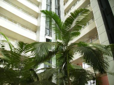 Apartamento de vacaciones en Herzliya  (Tel Aviv)Casa de vacaciones