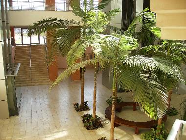 Apartamento de vacaciones en Herzliya  (Tel Aviv)Casa de vacaciones