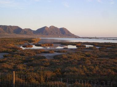 Entorno. Salinas. Reserva de aves