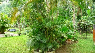 Casa de vacaciones en Ahangama  (Galle)Casa de vacaciones