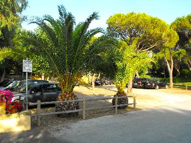 Apartamento de vacaciones en castiglione della pescaia (Grosseto)Casa de vacaciones