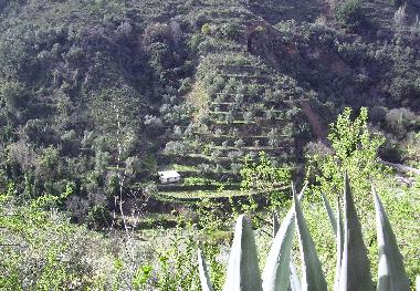 Casa de vacaciones en Albunuelas (Granada)Casa de vacaciones