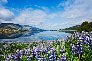 Casa de vacaciones en Borgarnes (Myrasysla)Casa de vacaciones