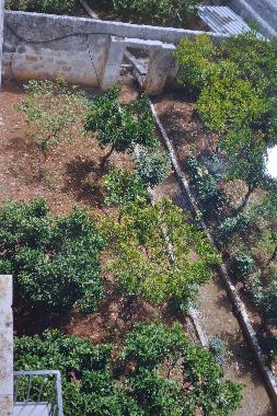 Apartamento de vacaciones en Ostuni (Brindisi)Casa de vacaciones