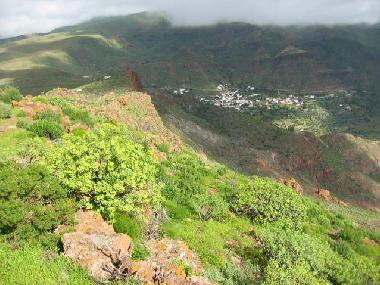 Apartamento de vacaciones en aguimes (Gran Canaria)Casa de vacaciones