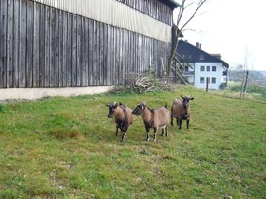 Apartamento de vacaciones en Wei�enstadt (Oberfranken)Casa de vacaciones