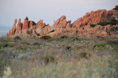 Casa de vacaciones en Isola Rossa (Gallura )Casa de vacaciones