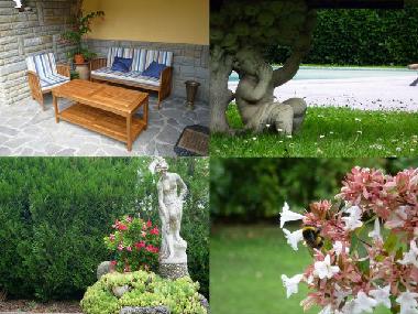 Apartamento de vacaciones en Capolona (Arezzo)Casa de vacaciones