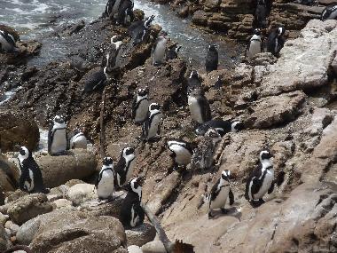 Casa de vacaciones en Hermanus Sanbaai (Western Cape)Casa de vacaciones