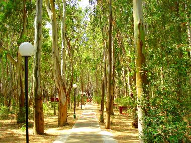 Apartamento de vacaciones en Pizzo (Vibo Valentia)Casa de vacaciones