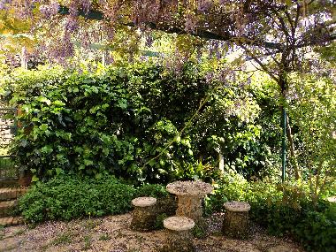 Apartamento de vacaciones en Lisciano Niccone (Perugia)Casa de vacaciones