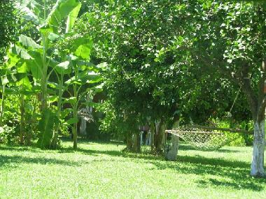 Cama y desayuno en Cirali (Antalya)Casa de vacaciones
