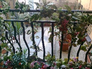 Apartamento de vacaciones en rome (Roma)Casa de vacaciones