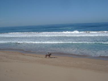 Villa en Sidi Boulfdail (Agadir)Casa de vacaciones