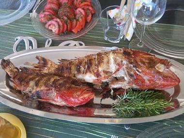 Villa en Vis (Splitsko-Dalmatinska)Casa de vacaciones