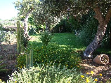 Casa de vacaciones en Cava d