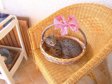 Casa de vacaciones en Cava d