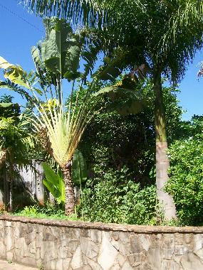 Apartamento de vacaciones en Lambare (Central)Casa de vacaciones