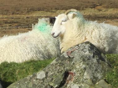 Casa de vacaciones en Louisburgh (Mayo)Casa de vacaciones