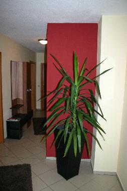 Apartamento de vacaciones en Neuschnau (Niederbayern)Casa de vacaciones