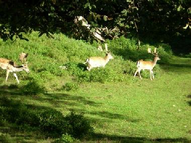 Casa de vacaciones en Feistritz (Klagenfurt-Villach)Casa de vacaciones