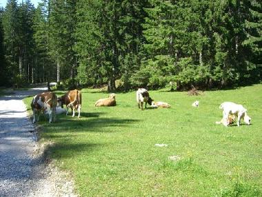 Apartamento de vacaciones en Feistritz (Klagenfurt-Villach)Casa de vacaciones